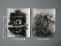藏品(黃山景色（安徽）)的圖片